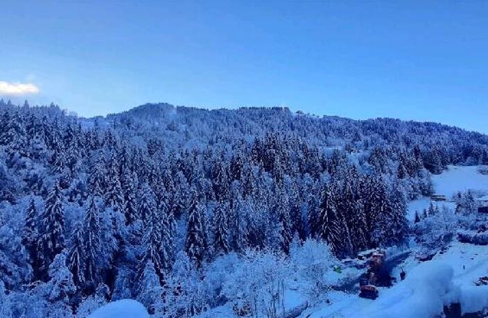 Vente terrain  426 m² Morzine (74110) — photo 4