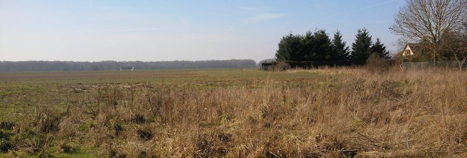 Terrain 1000 m² à construire Champrond-en-Gâtine (28240)