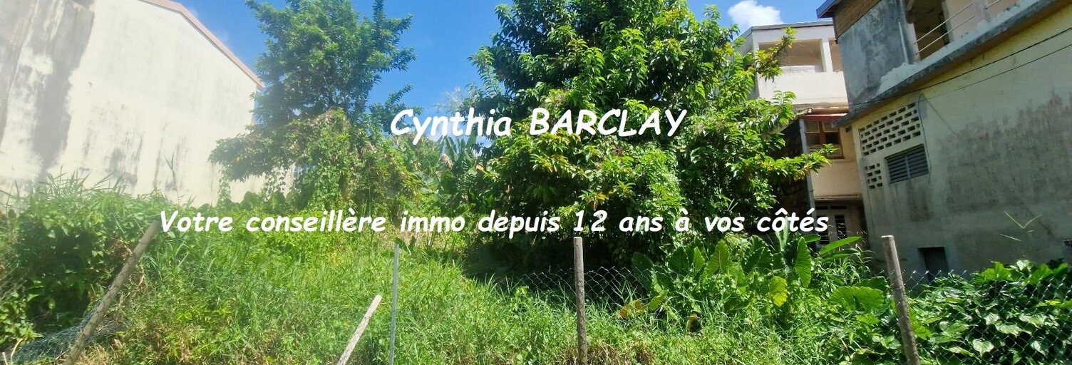 Terrain  245 m² à vendre à Saint-Esprit (97270)