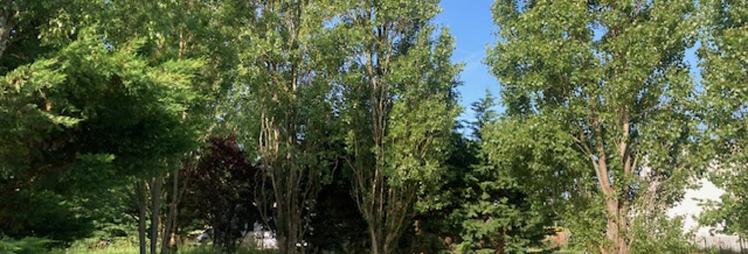 Terrain  450 m² à vendre à Talmont-Saint-Hilaire (85440)