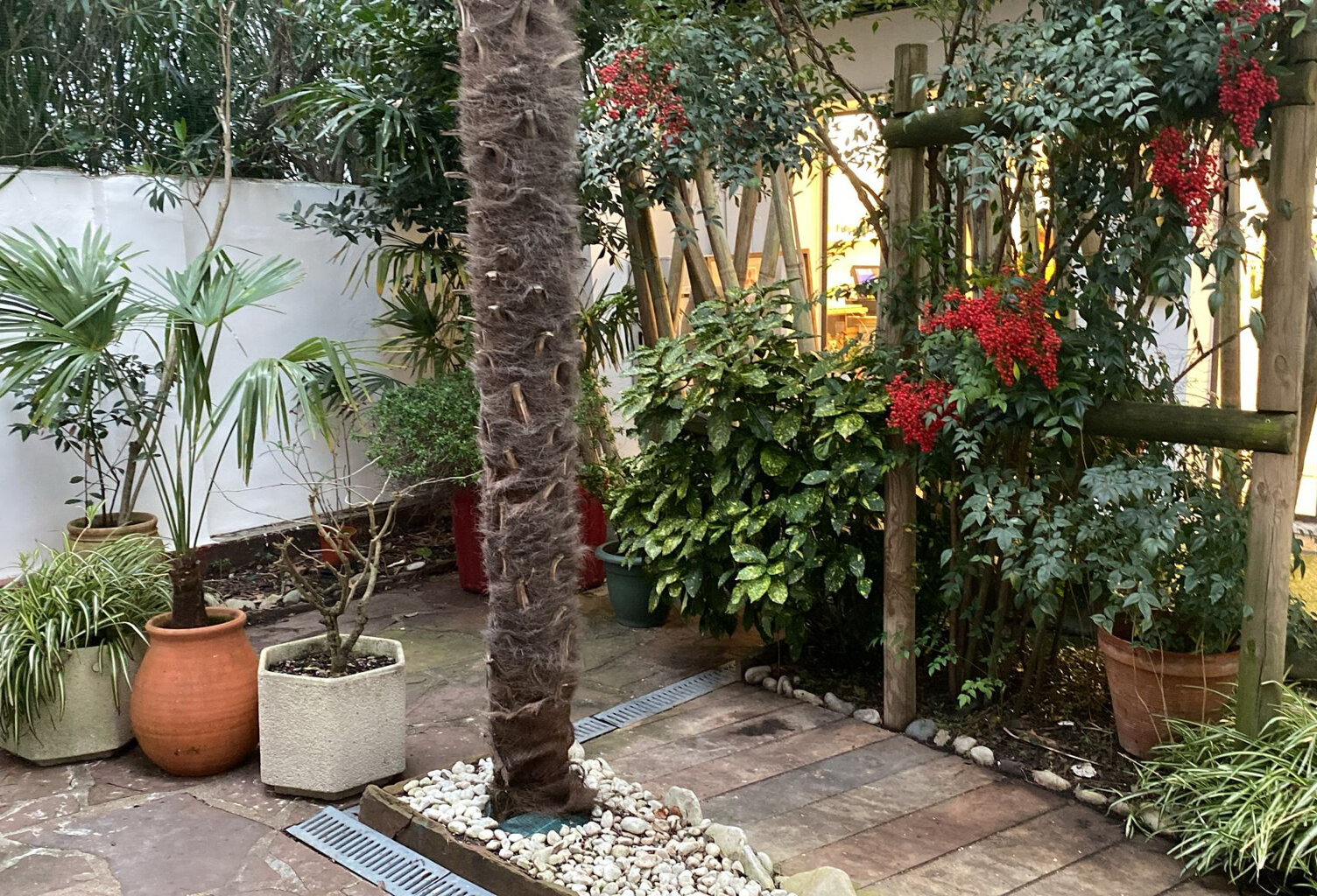 STUDIO AVEC PATIO — photo 1