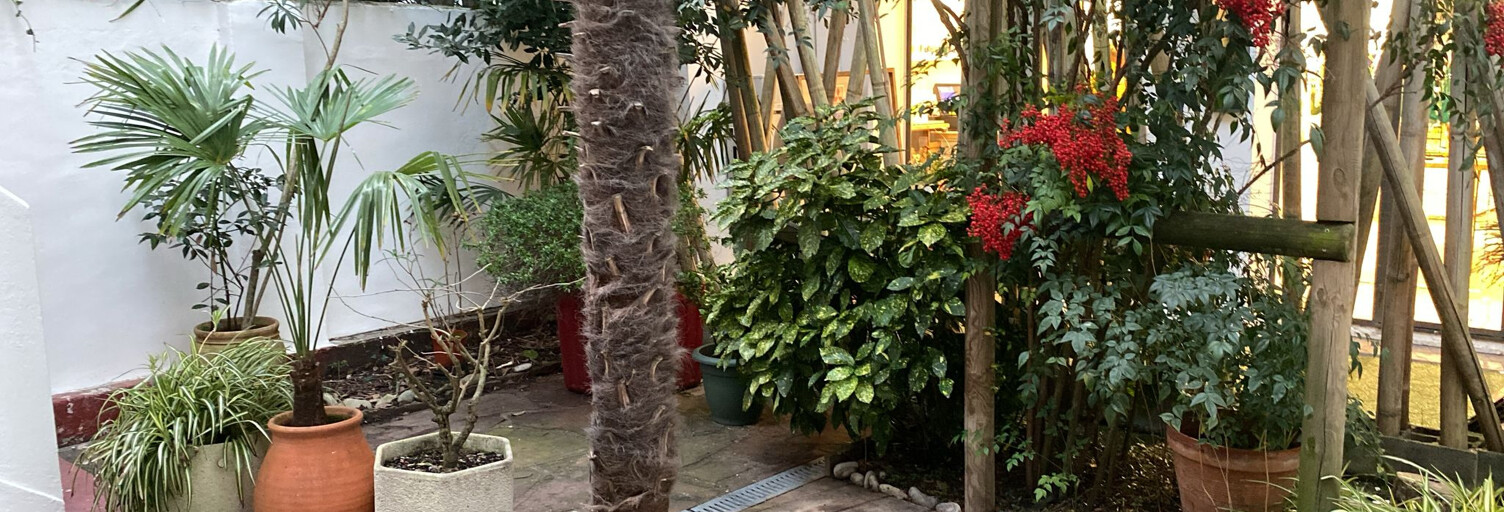 Appartement 1 Pièce 22 m² à vendre à Saint-Jean-de-Luz (64500)