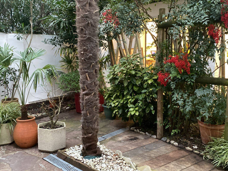 STUDIO AVEC PATIO — photo 1