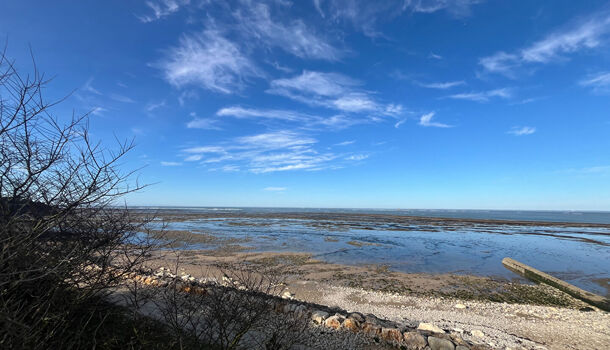 Villa / Maison 1 pièces  à vendre Saint-Denis-d'Oléron 17650