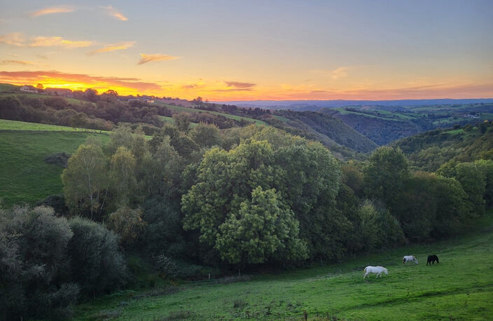 15 Km CONQUES- BEAU CORPS DE FERME -140 m2-1,6 Ha- — photo 5