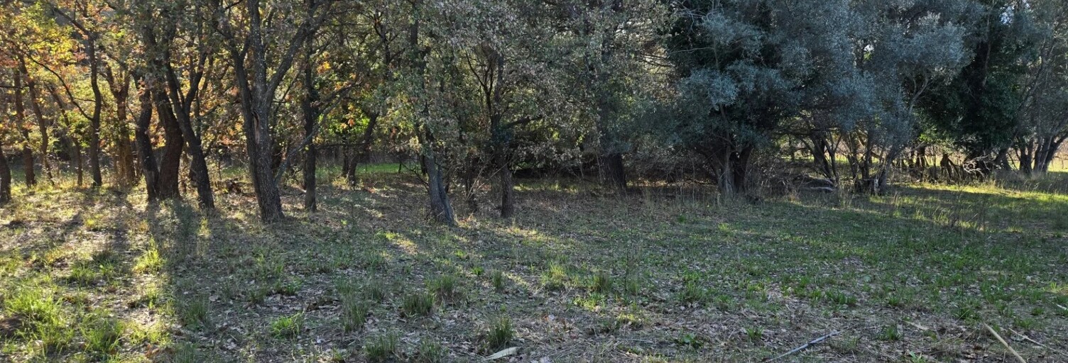 Terrain  1056 m² à vendre à Bormes-les-Mimosas (83230)