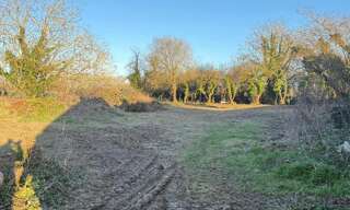 Terrain  1700 m² à vendre à Champigny (89340)