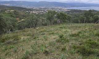 Terrain  48050 m² à vendre à Bormes-les-Mimosas (83230)