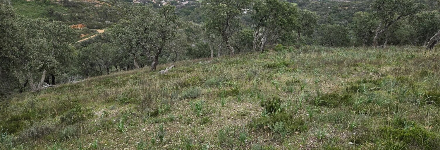 Terrain  48050 m² à vendre à Bormes-les-Mimosas (83230)