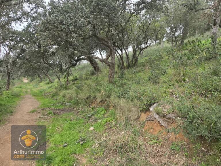 Terrain Non Constructible à Bormes-les-Mimosas, 2.74 Ha — photo 1