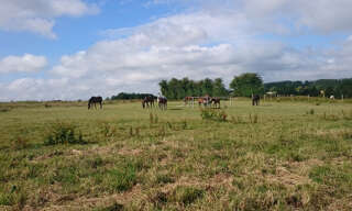 Maison 6 Pièces 139 m² à vendre à Saint-Pol-sur-Ternoise (62130)