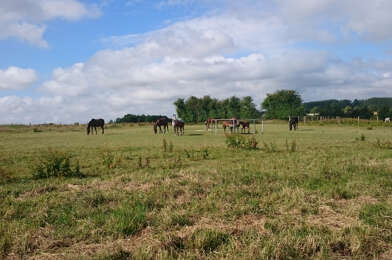 Maison 6 pièces 603200 €