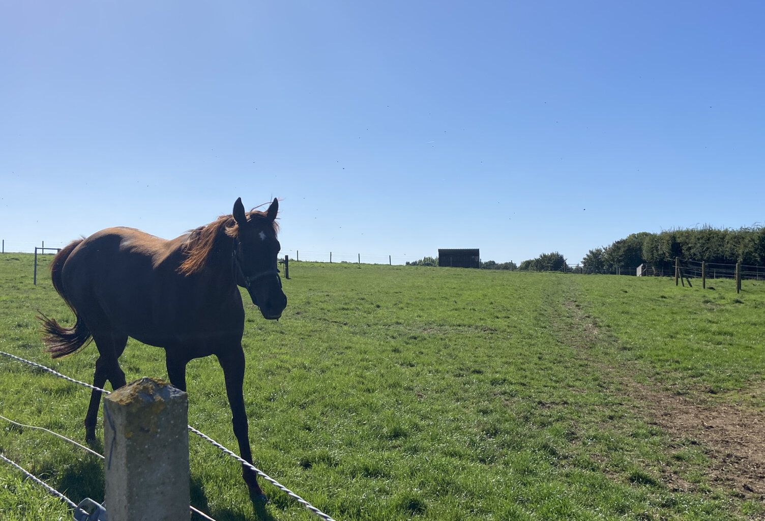 Centre équestre sur près de 6 hectares Secteur de Saint Pol — photo 1