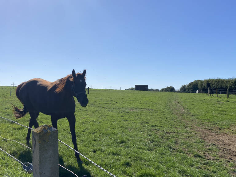 Centre équestre sur près de 6 hectares Secteur de Saint Pol — photo 1