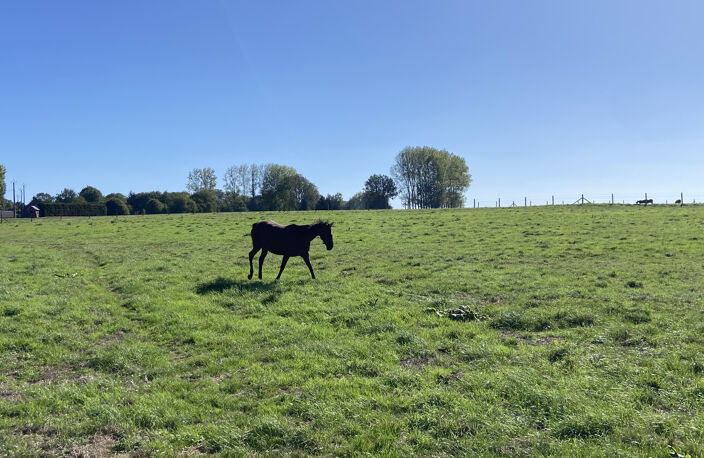 Centre équestre sur près de 6 hectares Secteur de Saint Pol — photo 3