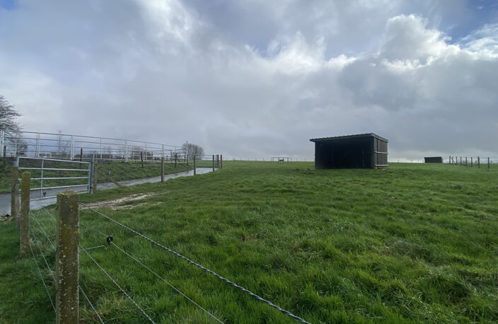 Centre équestre sur près de 6 hectares Secteur de Saint Pol — photo 5