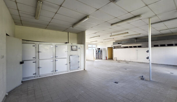 Villa / Maison 5 pièces  à vendre Saint-Palais 64120