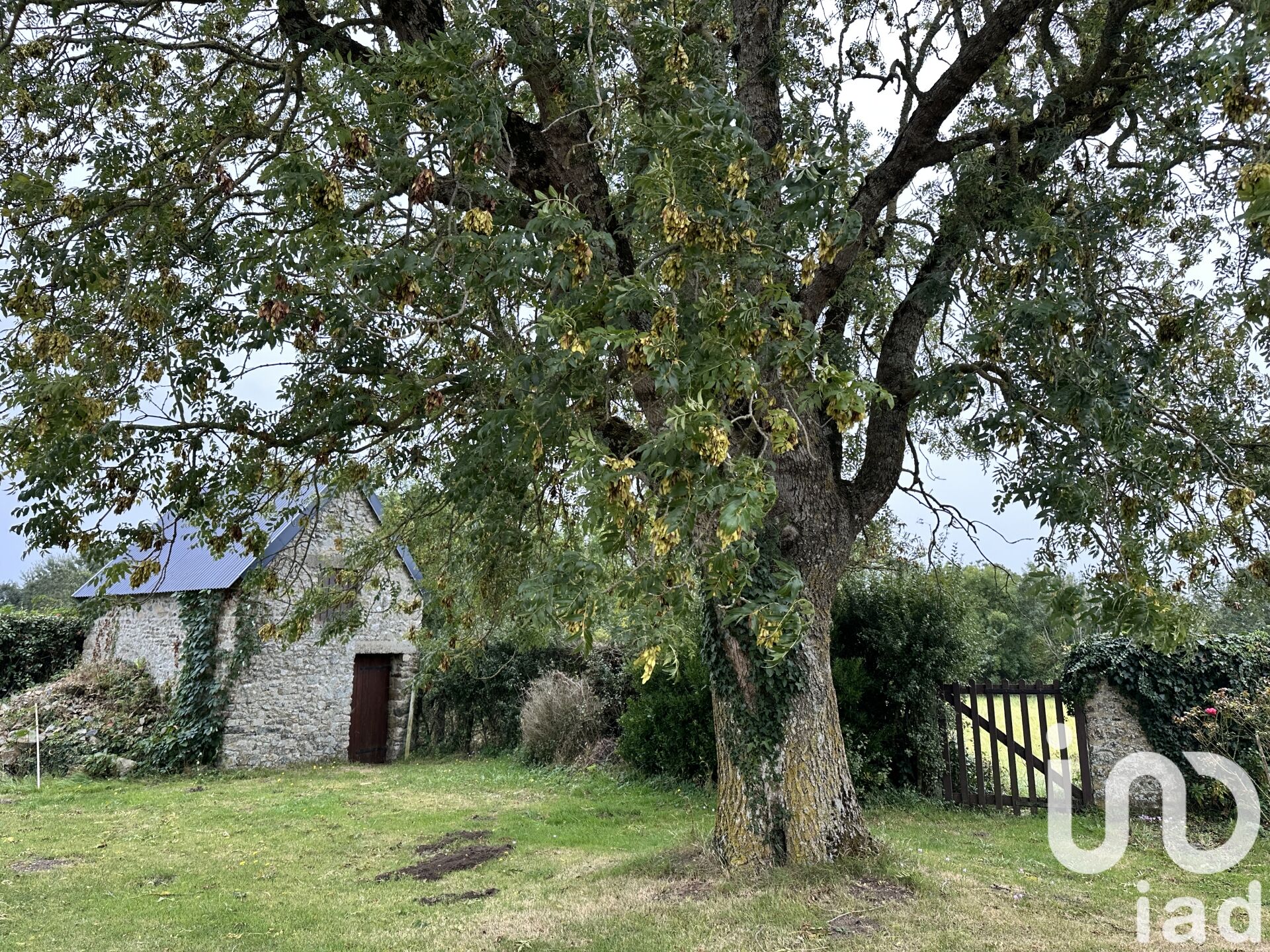 Agon-Coutainville - 160m² - 7p. - 6ch.