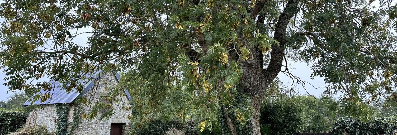 Maison 7 Pièces 160 m² à vendre à Agon-Coutainville (50230)