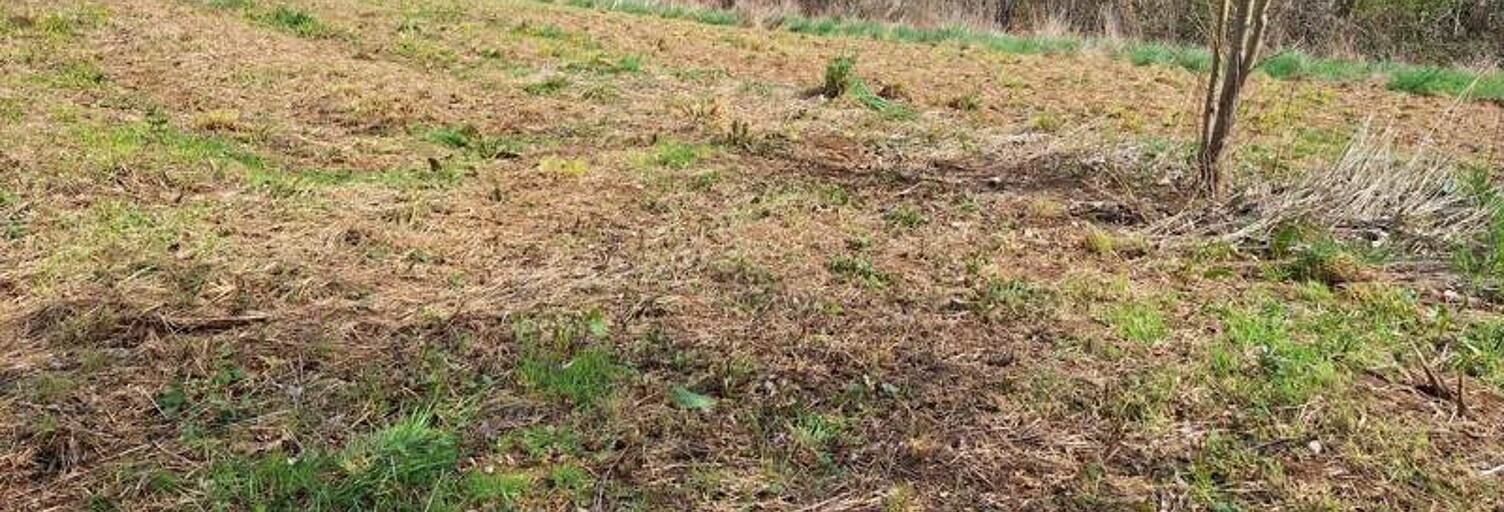 Terrain  2109 m² à vendre à Condat-sur-Ganaveix (19140)