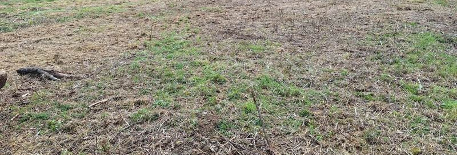 Terrain  2109 m² à vendre à Condat-sur-Ganaveix (19140)