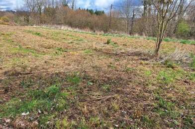 Terrain  20000 €