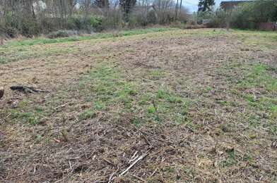 Terrain  20000 €
