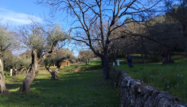 Villa / Maison 8 pièces  à vendre Hyères 83400