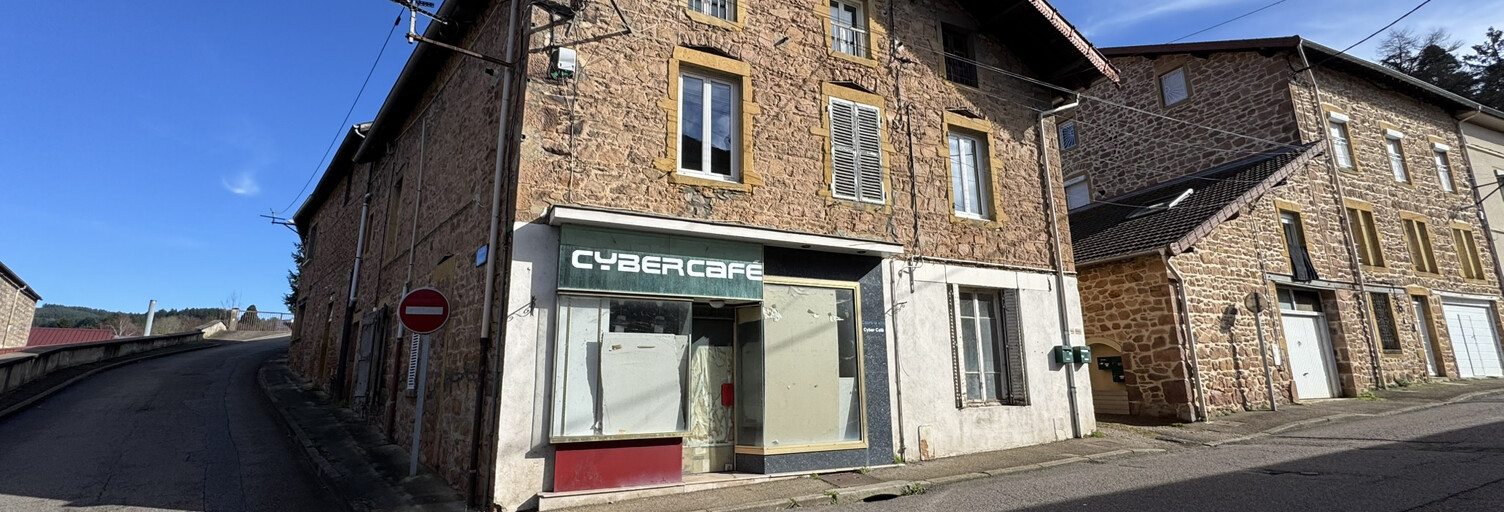 Maison 11 Pièces 312 m² à vendre à Cours (69470)