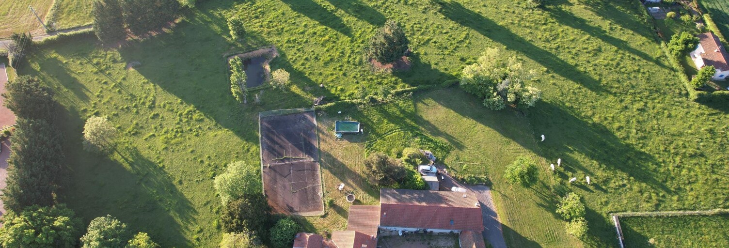 Maison 10 Pièces 450 m² à vendre à Perreux (42120)