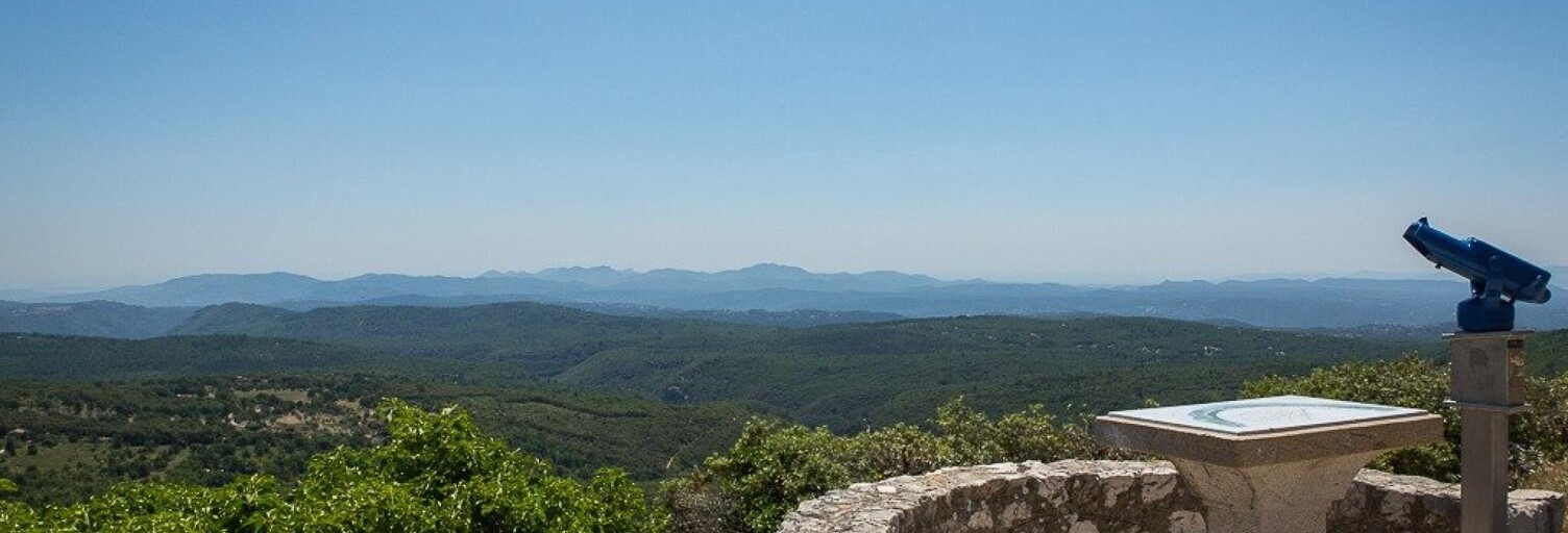 Terrain  10420 m² à vendre à Mons (83440)