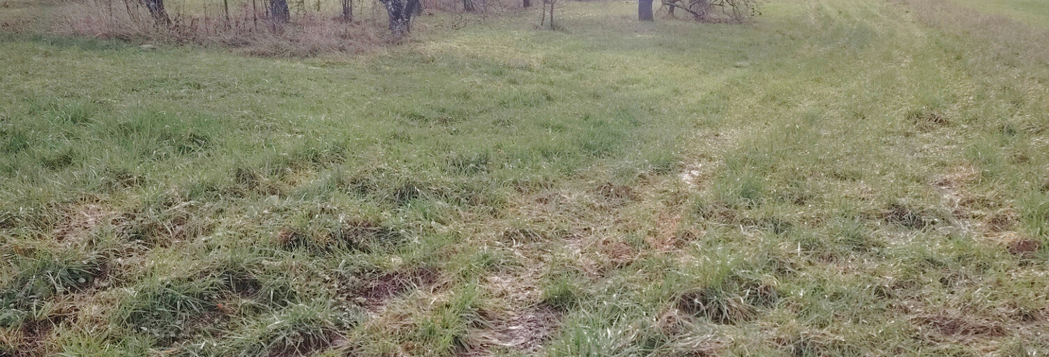 Terrain  1344 m² à vendre à Ronvaux (55160)