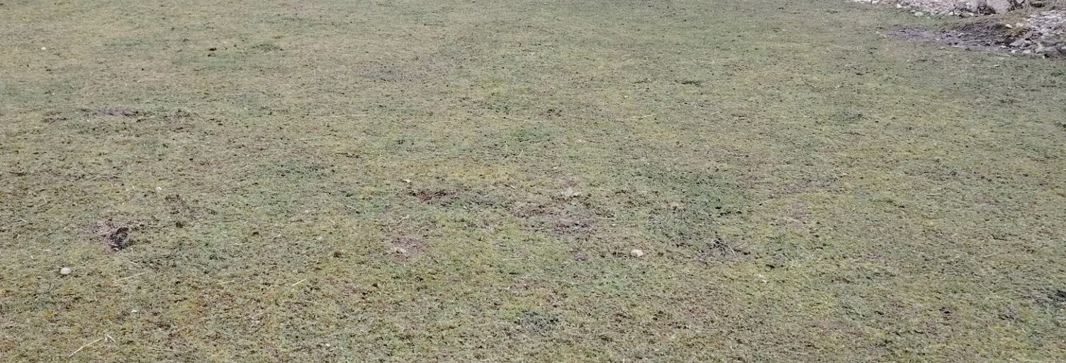 Terrain  1569 m² à vendre à Ronvaux (55160)