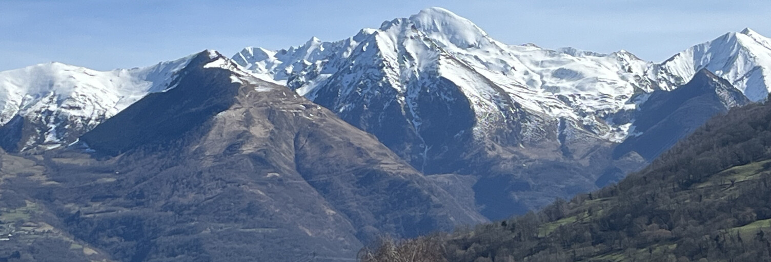 Maison 11 Pièces 301 m² à vendre à Arras-en-Lavedan (65400)