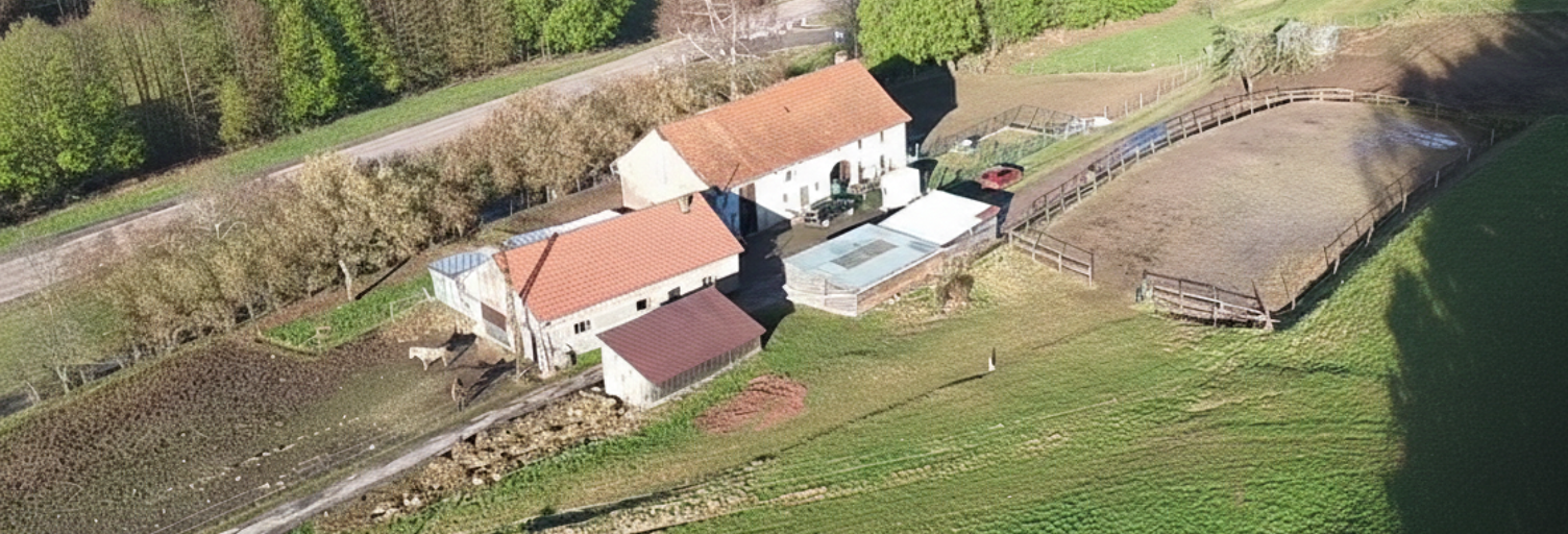 Maison 4 Pièces 105 m² à vendre à Ban-sur-Meurthe-Clefcy (88230)