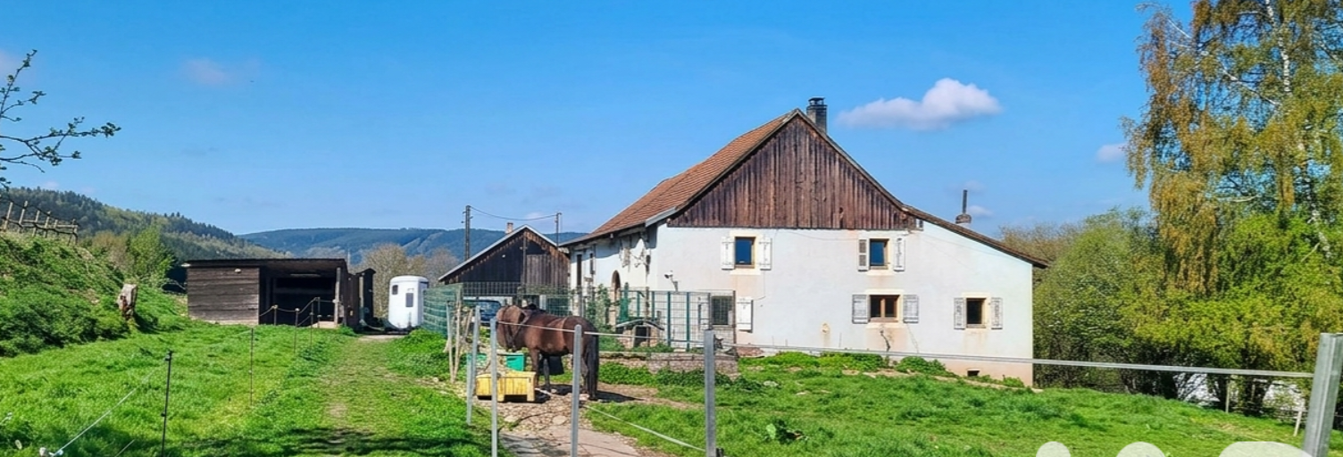 Maison 4 Pièces 105 m² à vendre à Ban-sur-Meurthe-Clefcy (88230)