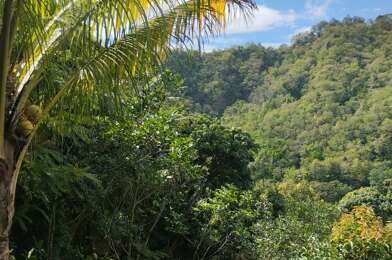 Terrain  105000 €
