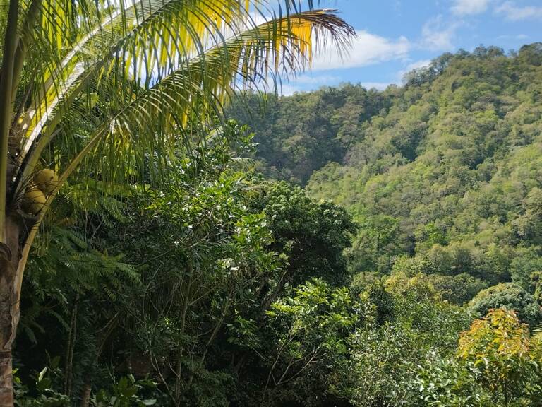 Vente Terrain à bâtir 1 100 m&sup2; — photo 1