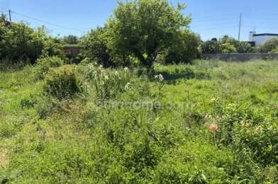 Terrain  82500 €