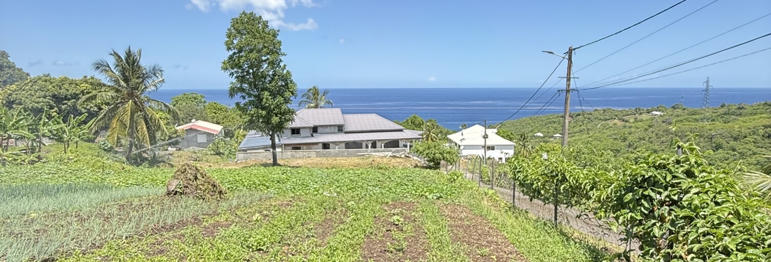 Terrain  1000 m² à vendre à Vieux-Habitants (97119)