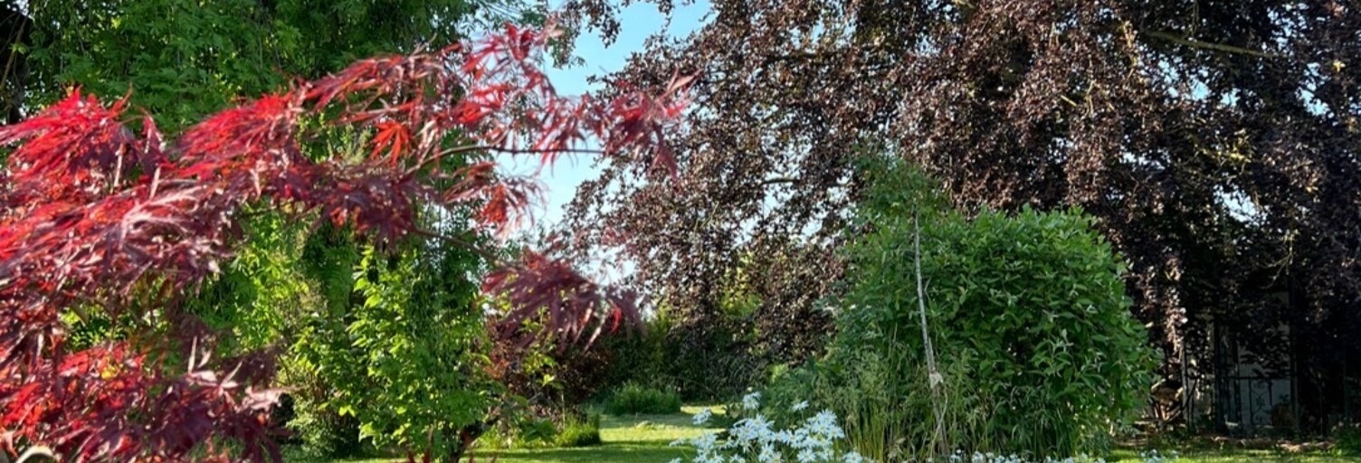 Maison 8 Pièces 243 m² à vendre à Jeandelize (54800)
