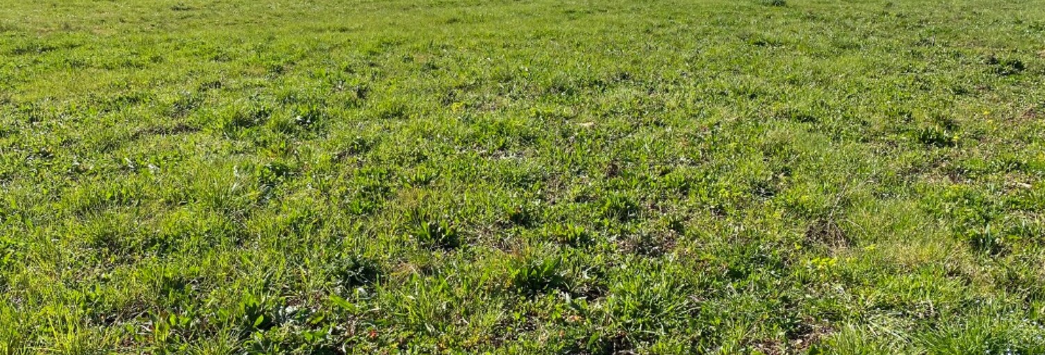 Terrain  321 m² à vendre à Marennes-Hiers-Brouage (17320)