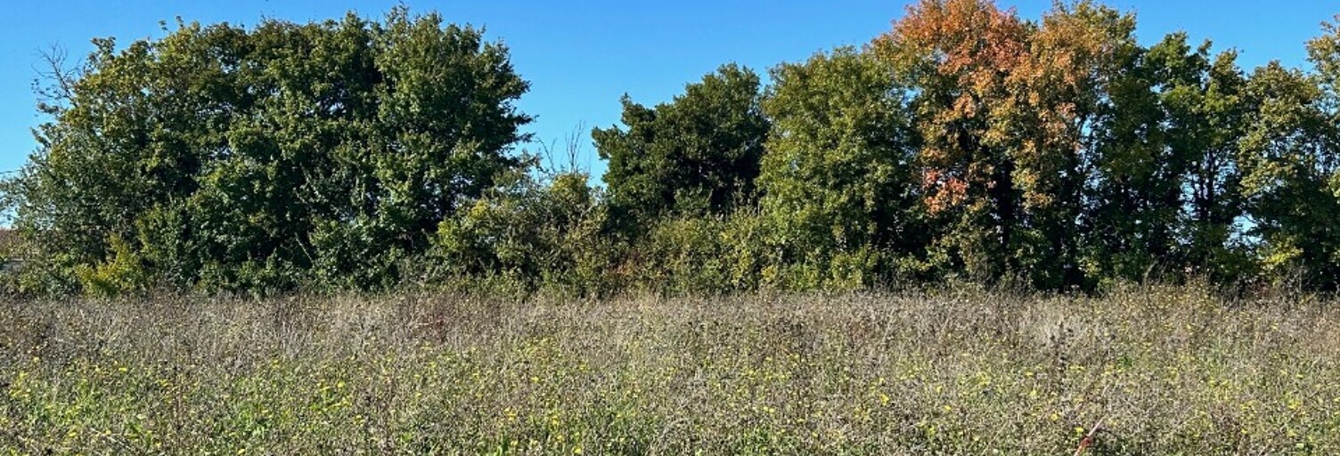 Terrain  502 m² à vendre à Ardillières (17290)