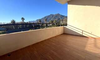 Appartement 3 Pièces 68 m² à louer à San-Nicolao (20230)