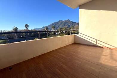 Appartement 3 pièces 800 €