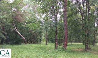 Terrain  1484 m² à vendre à Ménesplet (24700)