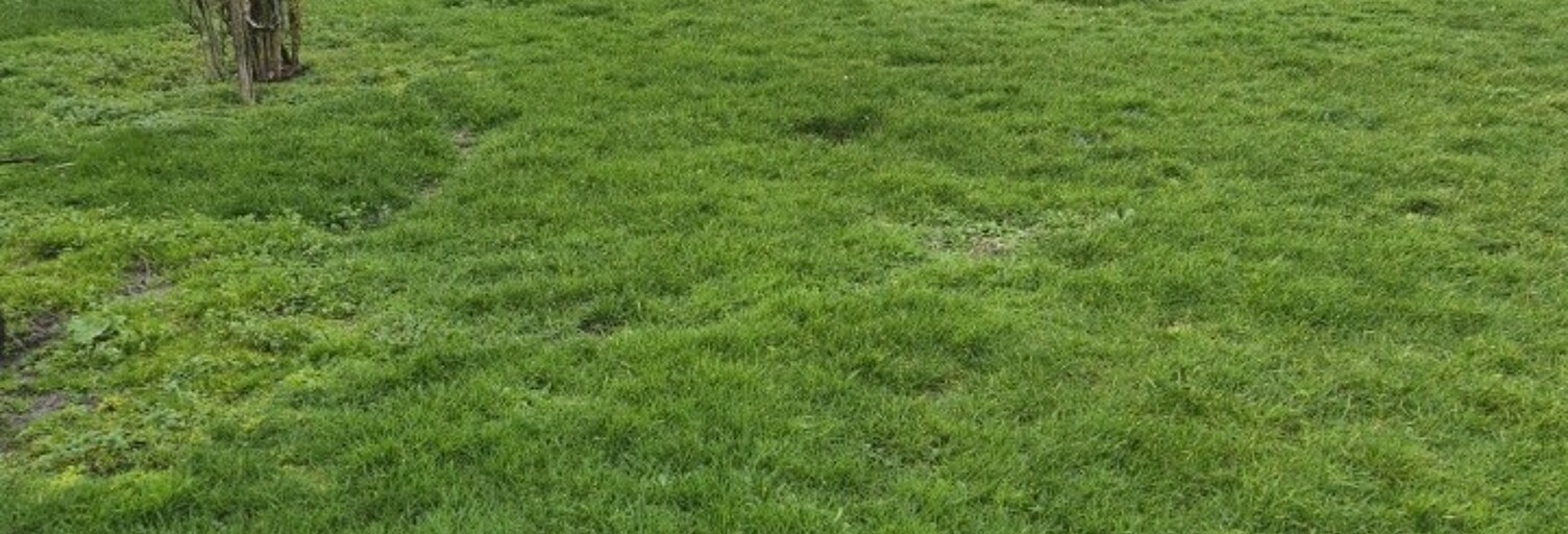 Terrain  640 m² à vendre à Jarnac-Champagne (17520)