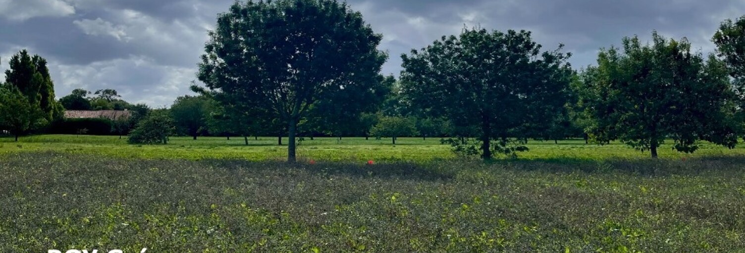 Terrain  359 m² à vendre à Mornac-sur-Seudre (17113)