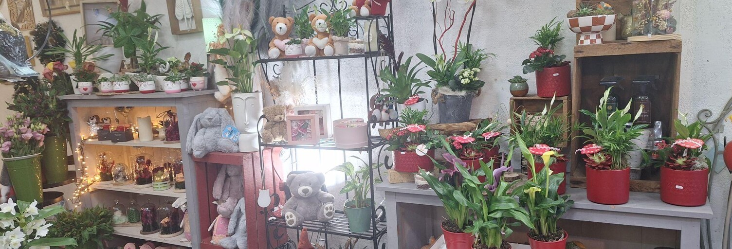 Commerce  61 m² à vendre à Amélie-les-Bains-Palalda (66110)