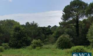 Terrain  703 m² à vendre à Messanges (40660)